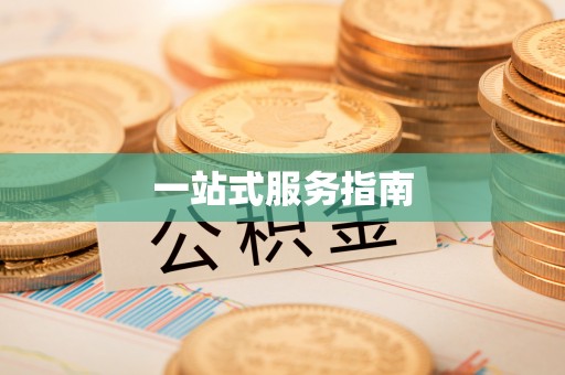 洛宁一站式服务指南