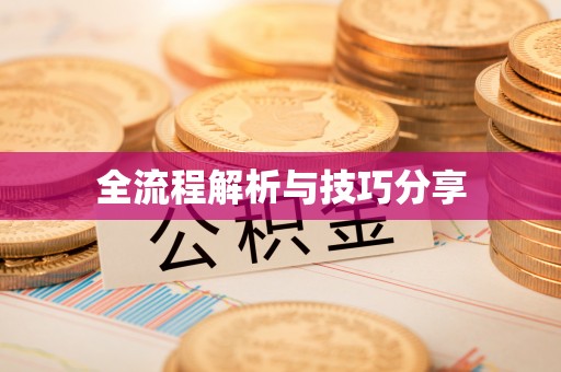 洛宁全流程解析与技巧分享