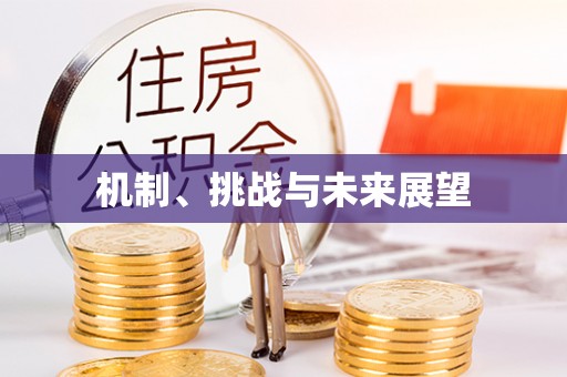 洛宁机制、挑战与未来展望