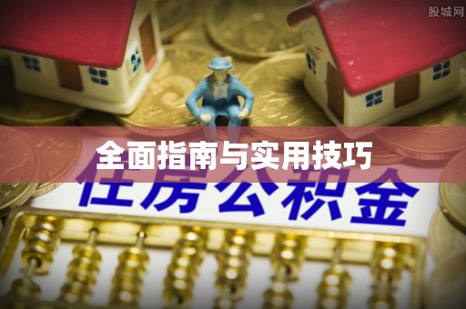 洛宁全面指南与实用技巧