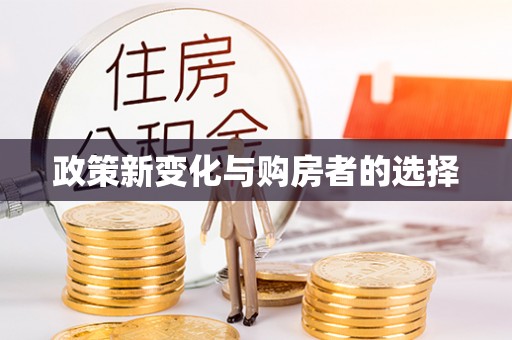洛宁政策新变化与购房者的选择