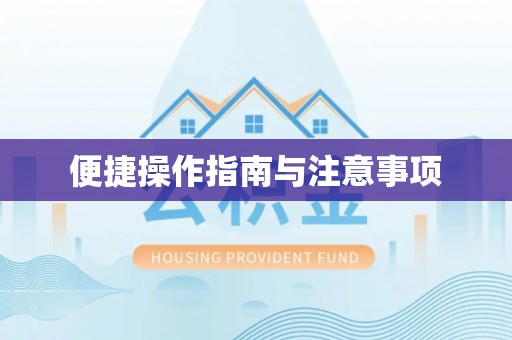 洛宁便捷操作指南与注意事项
