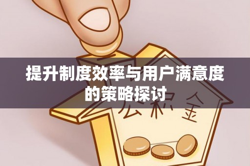 洛宁提升制度效率与用户满意度的策略探讨