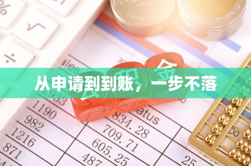 洛宁从申请到到账，一步不落