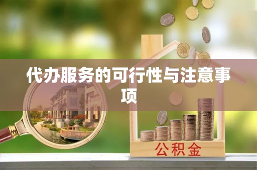 洛宁代办服务的可行性与注意事项